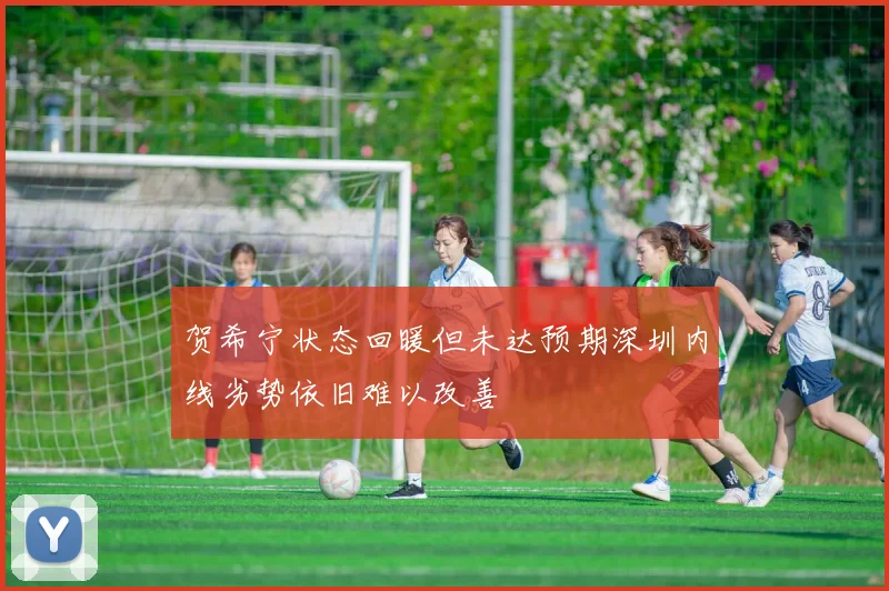 贺希宁状态回暖但未达预期深圳内线劣势依旧难以改善