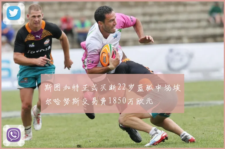 斯图加特正式买断22岁蓝狐中场埃尔哈努斯交易费1850万欧元